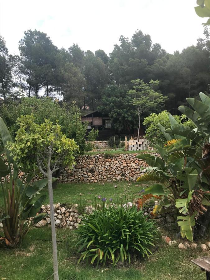 فيلا Casa Del Paso Bolulla المظهر الخارجي الصورة