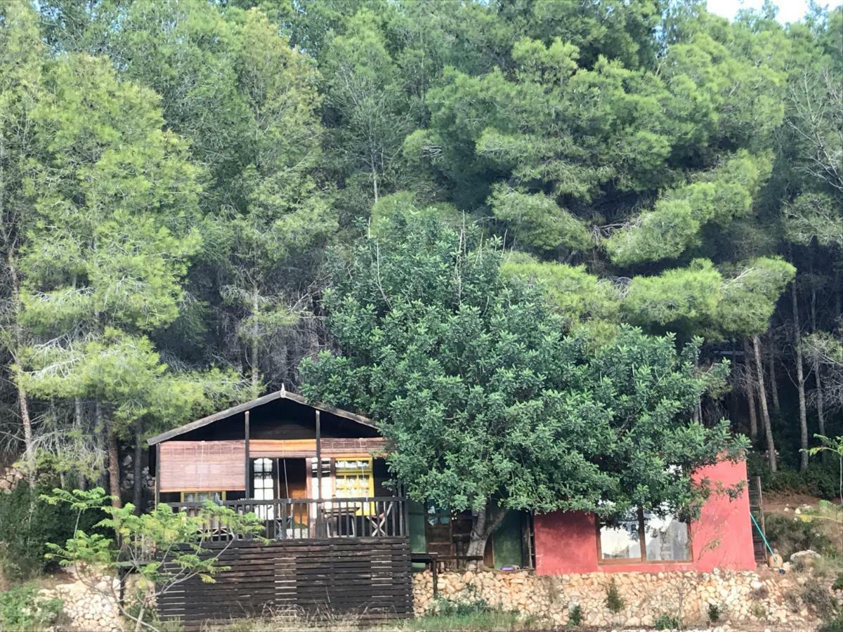 فيلا Casa Del Paso Bolulla المظهر الخارجي الصورة